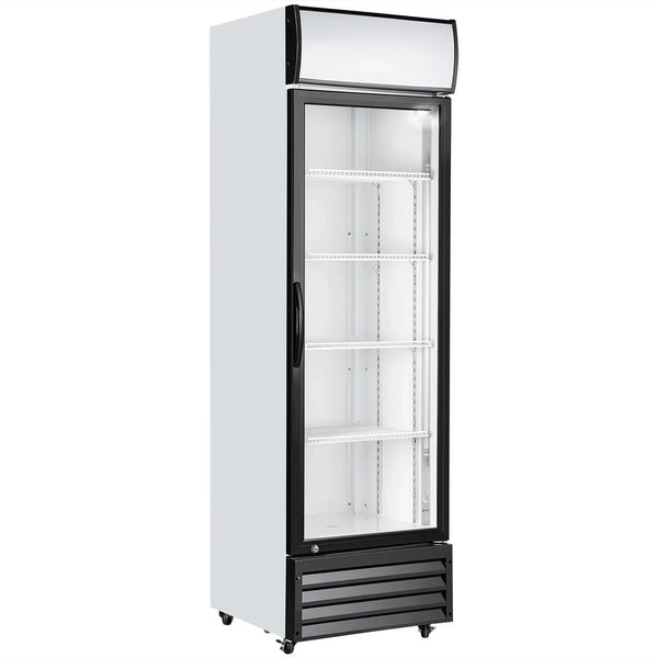 WindChill P238WA Single Door 21" Wide Display Refrigerator
